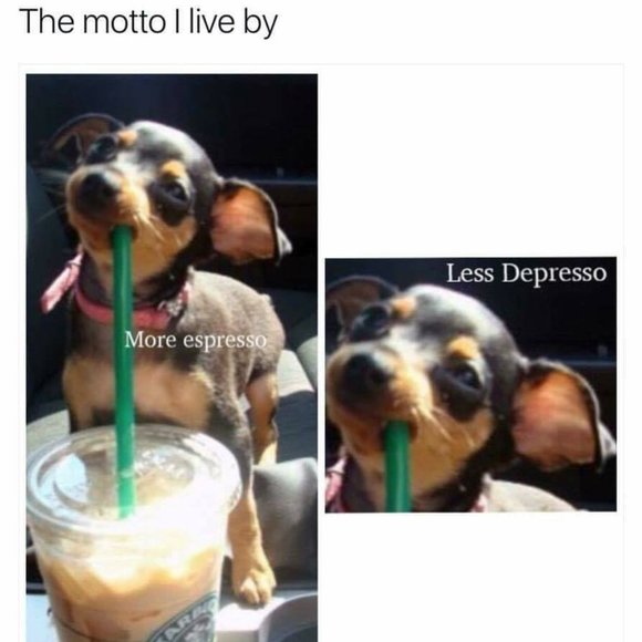 ISO THESE SHOES - Picture 13 of 13